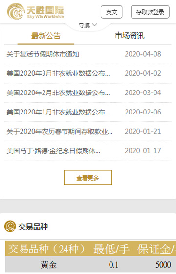 天勝國際網(wǎng)站案例圖片1