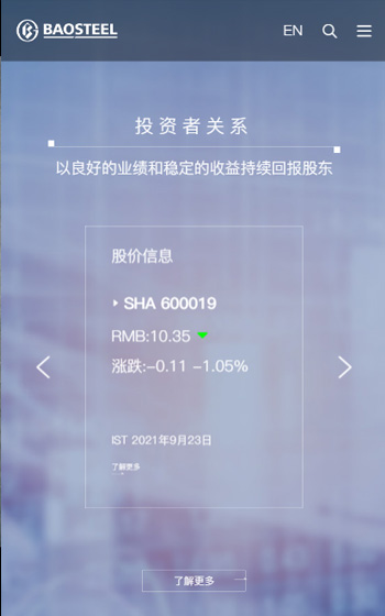 寶鋼股份網(wǎng)站案例圖片2