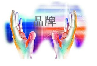 品牌網(wǎng)站建設(shè)